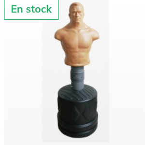 Dummy torso